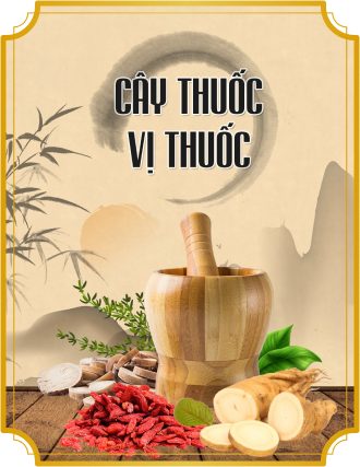 Cây và vị thuốc