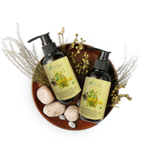 Dầu gội thảo dược